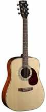 CORT Earth 70 W NS