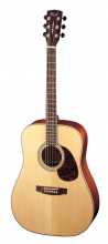 CORT Earth 100 NAT