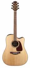TAKAMINE GD 93CE NAT