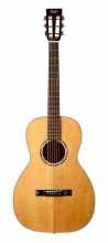 Tasman TA100P NT