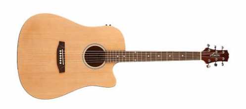 Ashton  D20CEQ NT