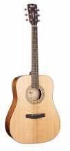 Cort Earth 60M  OPTB