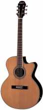 Aria ASP-100CE