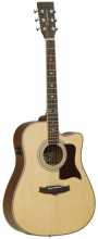 Tanglewood TW 115 CE
